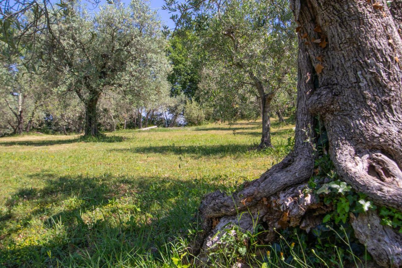 Agriturismo Filettro Volterra Exteriör bild
